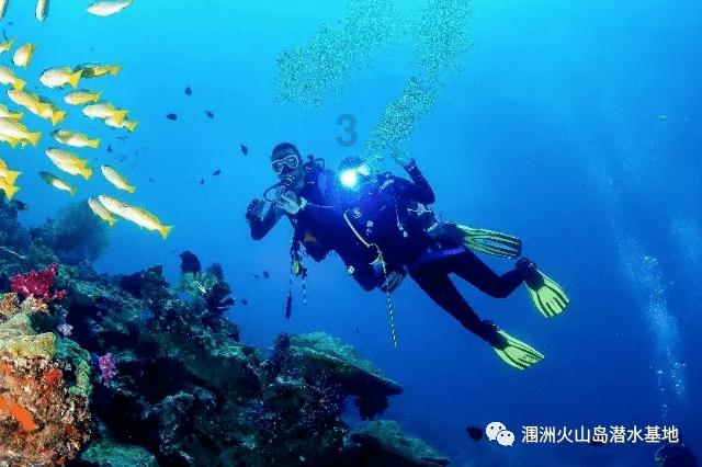 沪江开心词场