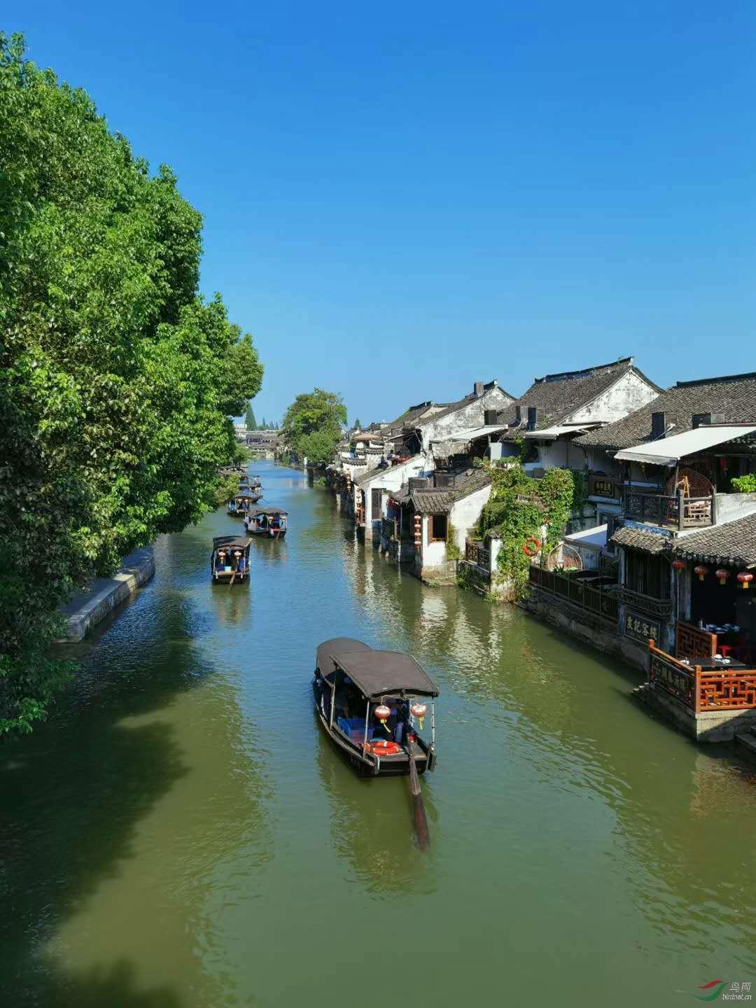 云上的歌